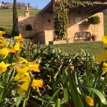 Casale Delle Rondini Bed & Breakfast Tolentino Eksteriør bilde