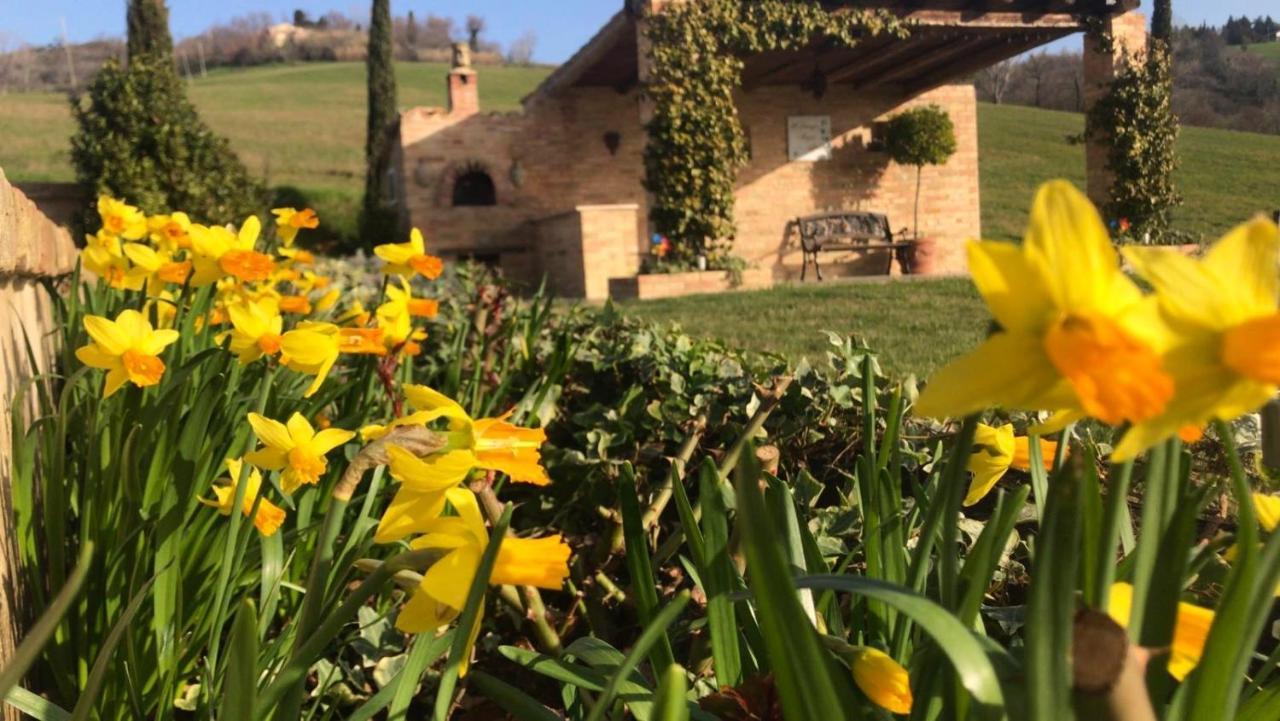 Casale Delle Rondini Bed & Breakfast Tolentino Eksteriør bilde