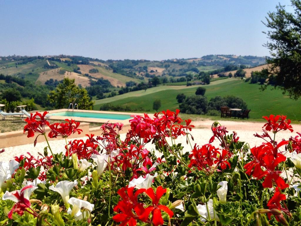 Casale Delle Rondini Bed & Breakfast Tolentino Eksteriør bilde