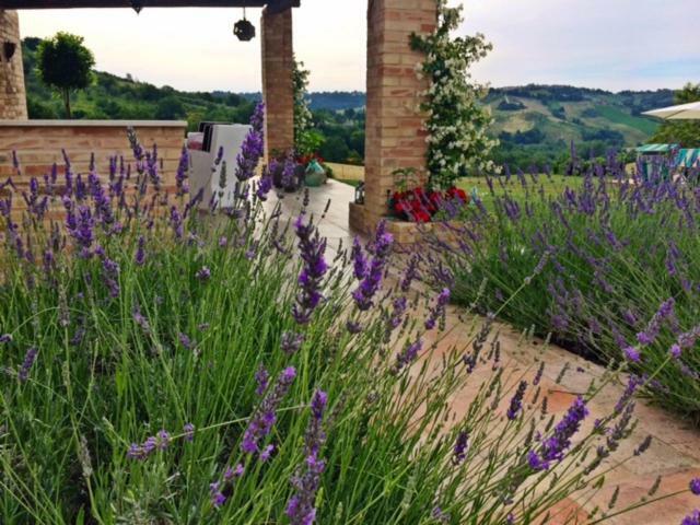 Casale Delle Rondini Bed & Breakfast Tolentino Eksteriør bilde