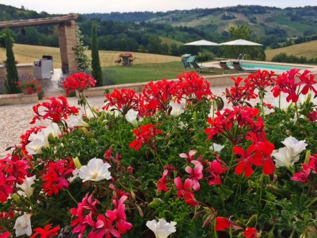 Casale Delle Rondini Bed & Breakfast Tolentino Eksteriør bilde