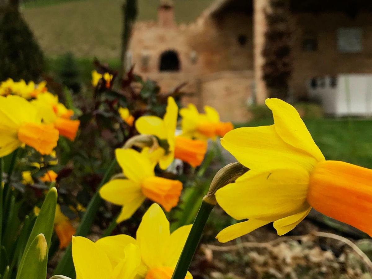 Casale Delle Rondini Bed & Breakfast Tolentino Eksteriør bilde