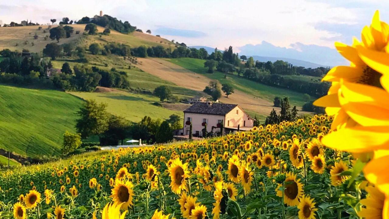Casale Delle Rondini Bed & Breakfast Tolentino Eksteriør bilde