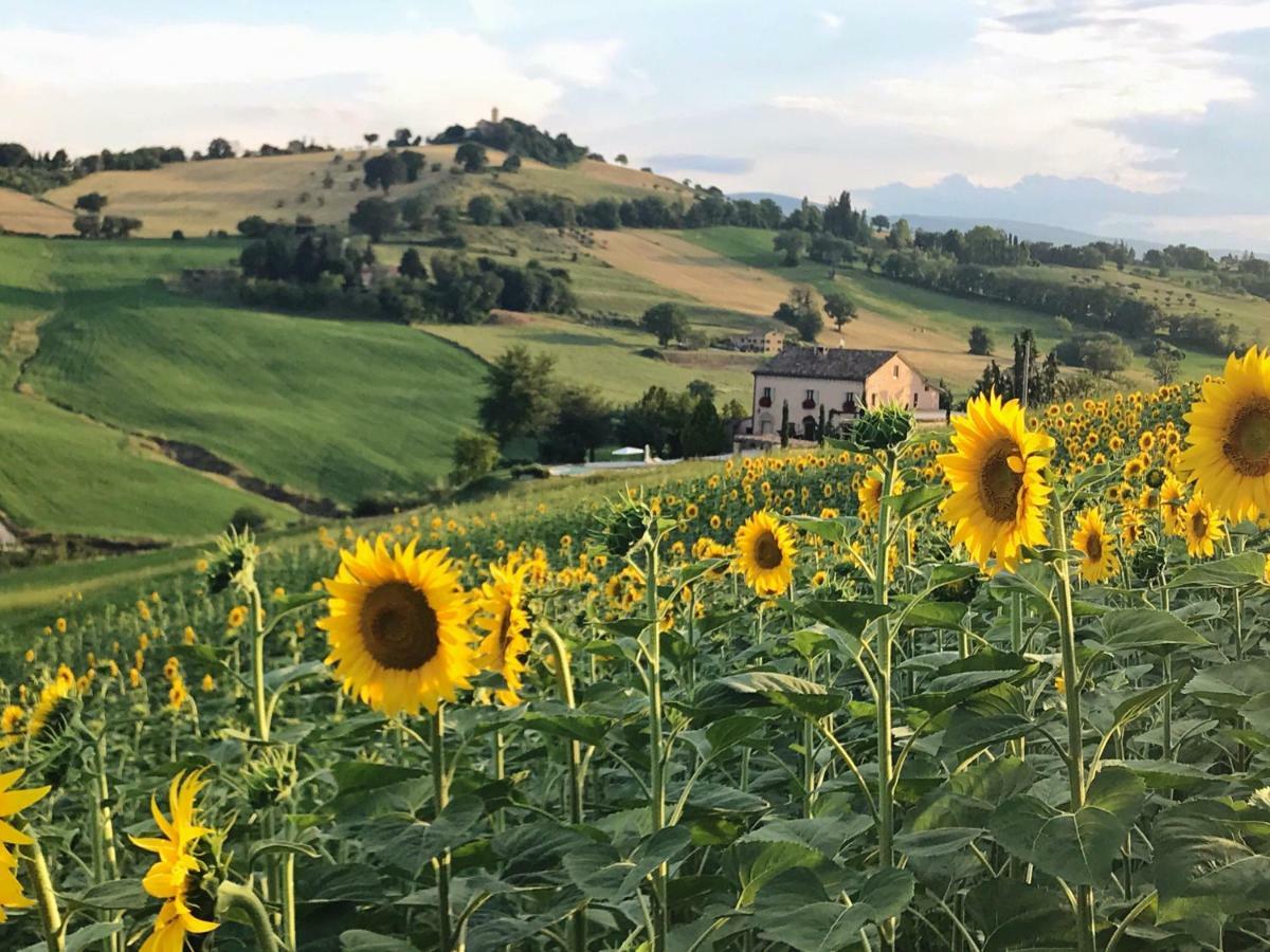 Casale Delle Rondini Bed & Breakfast Tolentino Eksteriør bilde