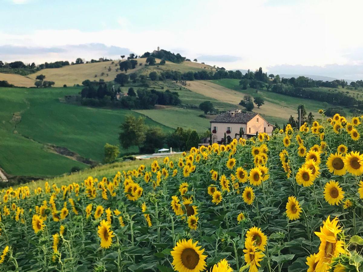 Casale Delle Rondini Bed & Breakfast Tolentino Eksteriør bilde
